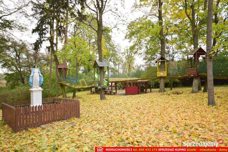 Zabytkowy Zespół DworskoParkowy XIXw 1880 r lubelskie