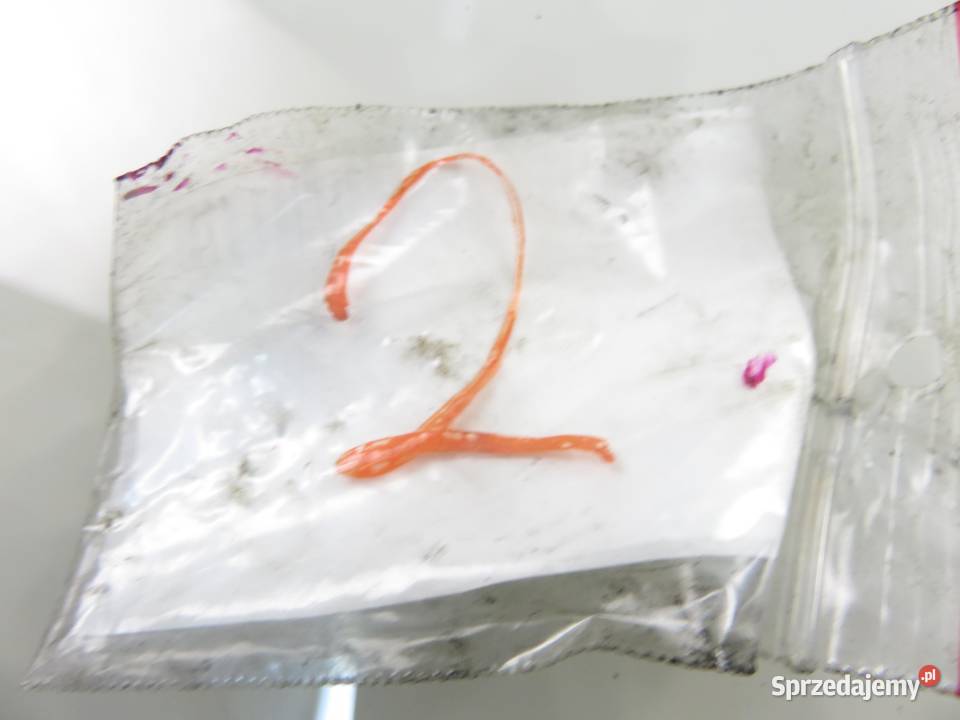 WTRYSKIWACZ RENAULT SCENIC II 19 dCi 8200389369 Motoryzacja małopolskie