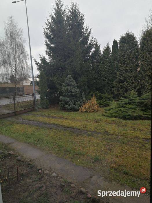 Działka z domem Drzewce Kolonia ok Nałęczowa Drzewce-Kolonia sprzedam