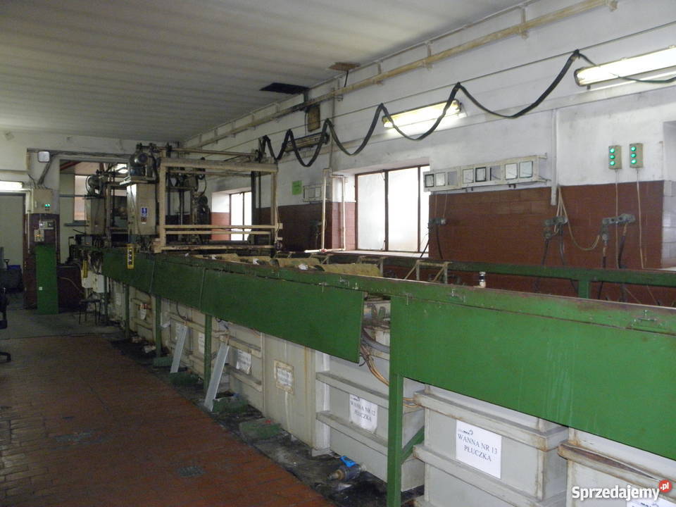 Cynkownia podkarpackie Piątkowiec