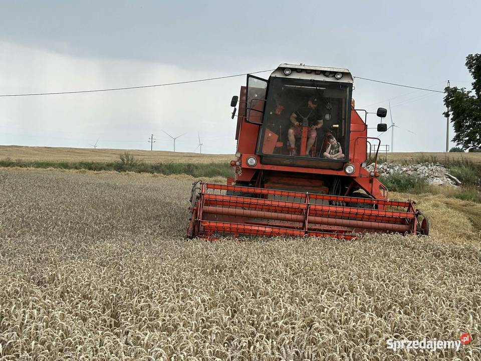 bizon rekord z058 kujawsko-pomorskie Piotrków Kujawski