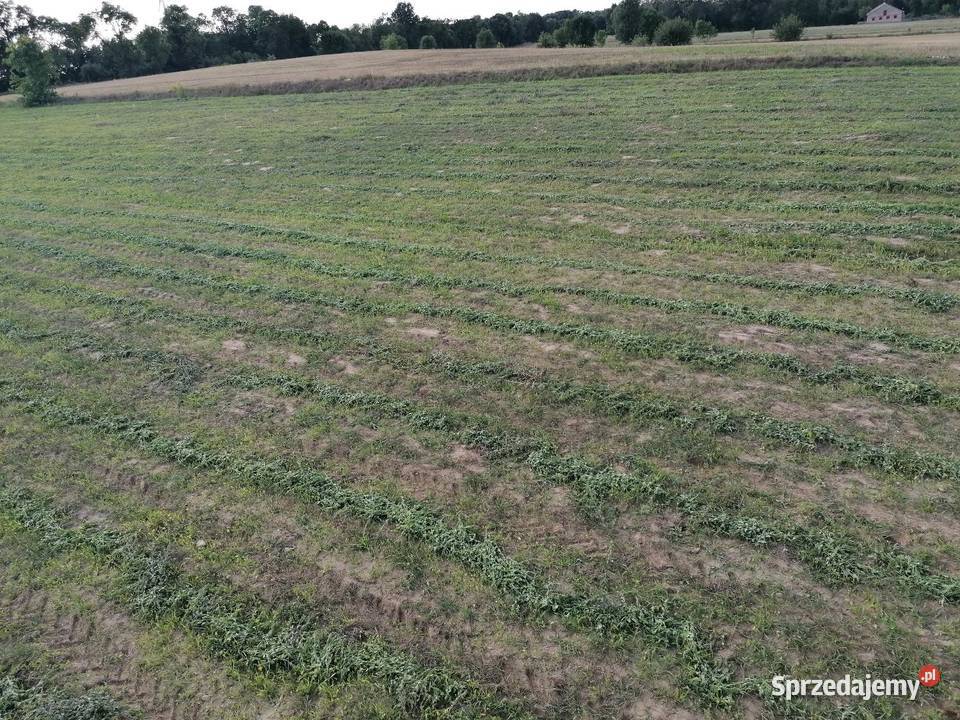 Działka budowlana 1600 mkw sprzedam