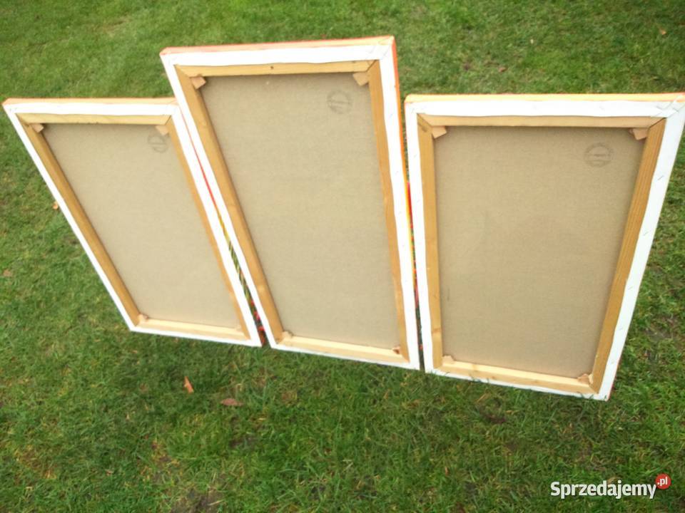 Obraz 3 częściowy kwiatygalmalarstwa Tuszkowo sprzedam