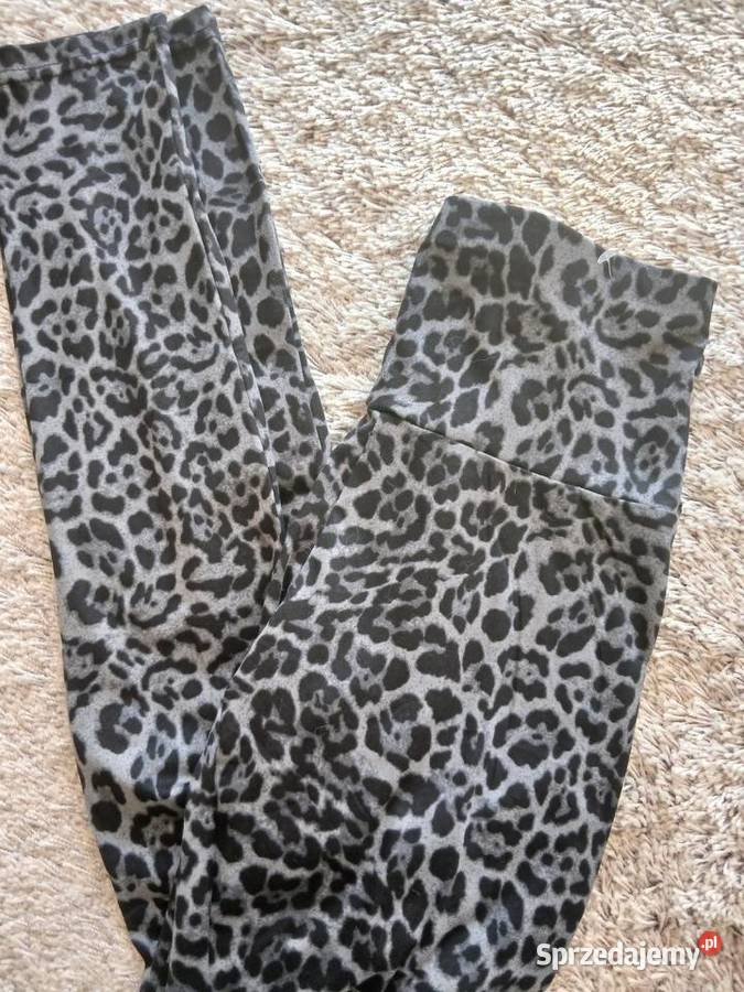 Panterka leginsy sm