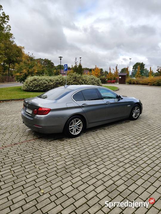 Bmw 525 nieuszkodzony