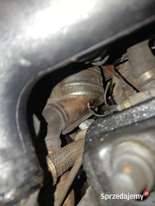 Katalizator osobowe Domaniewice