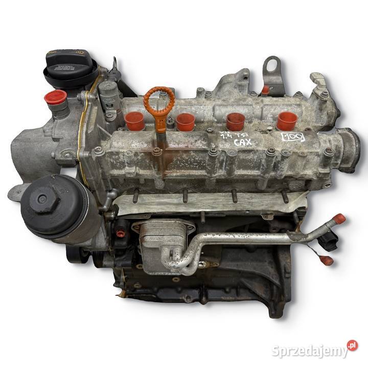 SILNIK CAX CAXA VW Golf VI Jetta III Passat B6 Chełm