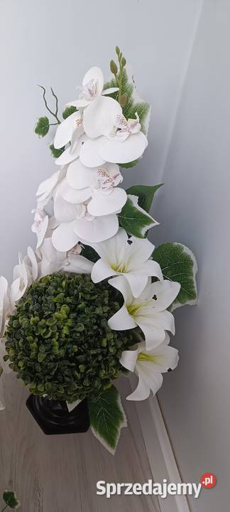 komplet z storczykiem i bukszpanem Psary