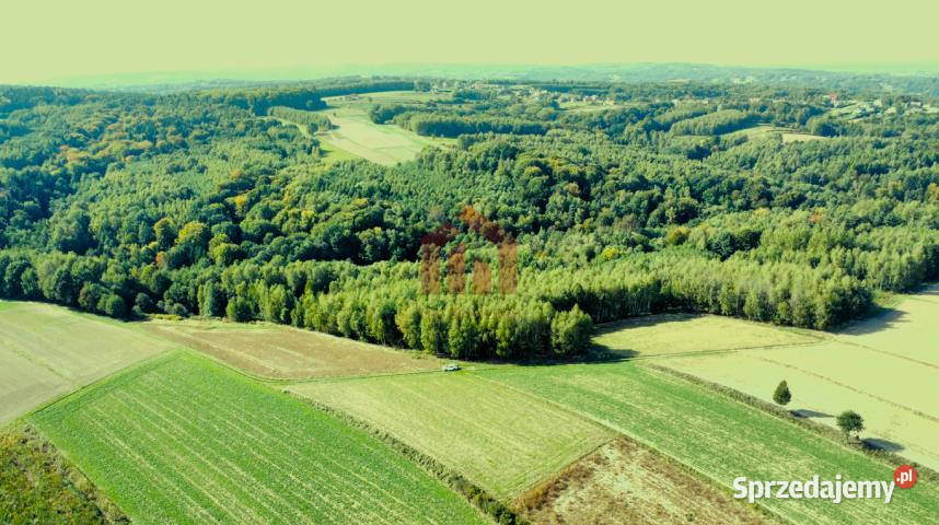 Grunt 15800m2 Gnojnica podkarpackie sprzedam