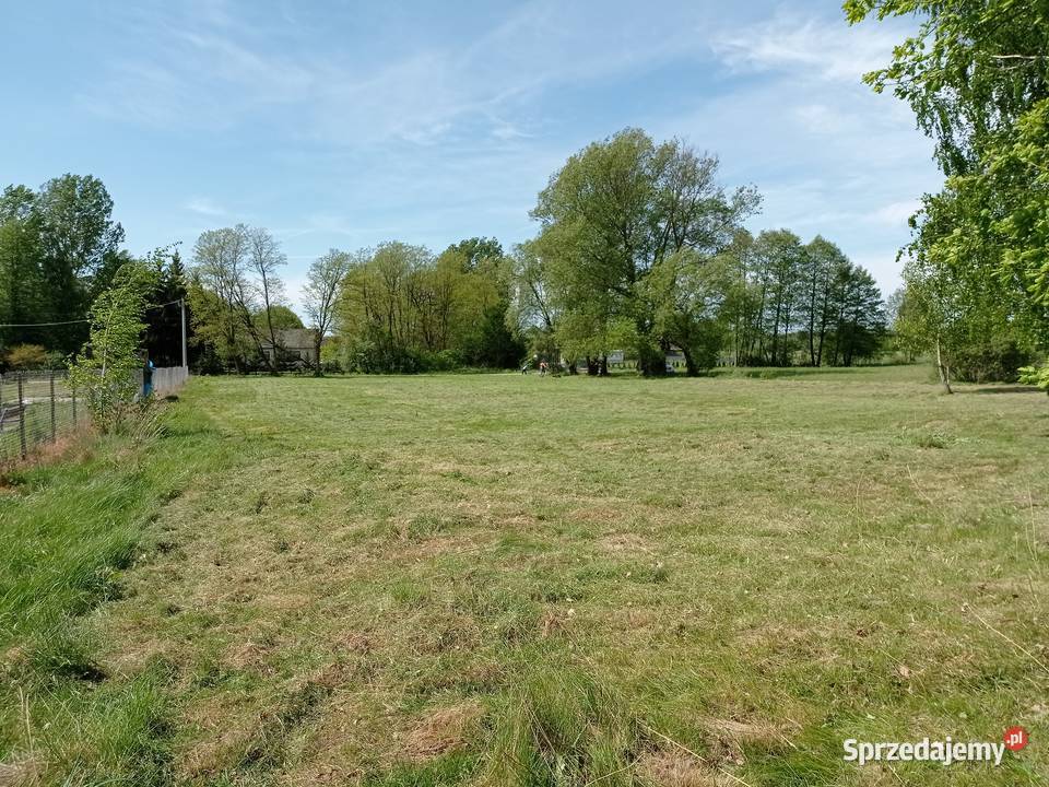 Sprzedam działkę budowlaną 3800 m2 Wola Sprzedaż Wola Brudnowska