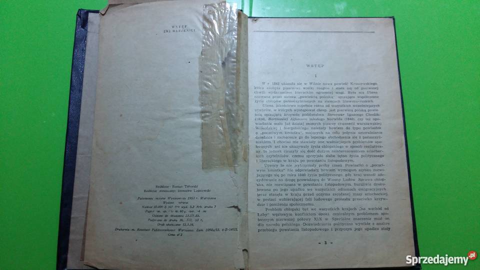 Ulana Józef Ignacy Kraszewski społeczno-obyczajowe sprzedam