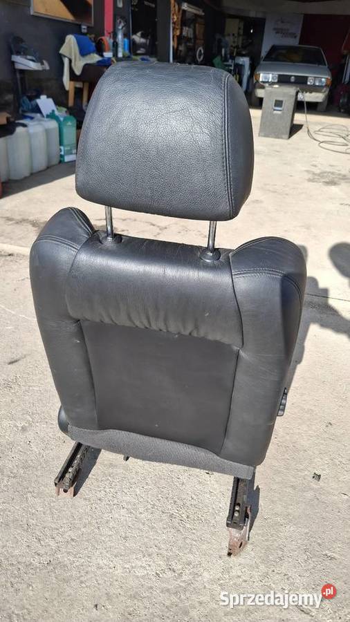 Skóry Accord VI Białogard