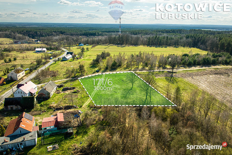 Działka w Kotowicach z warunkami zabudowy 3000m2 Kotowice