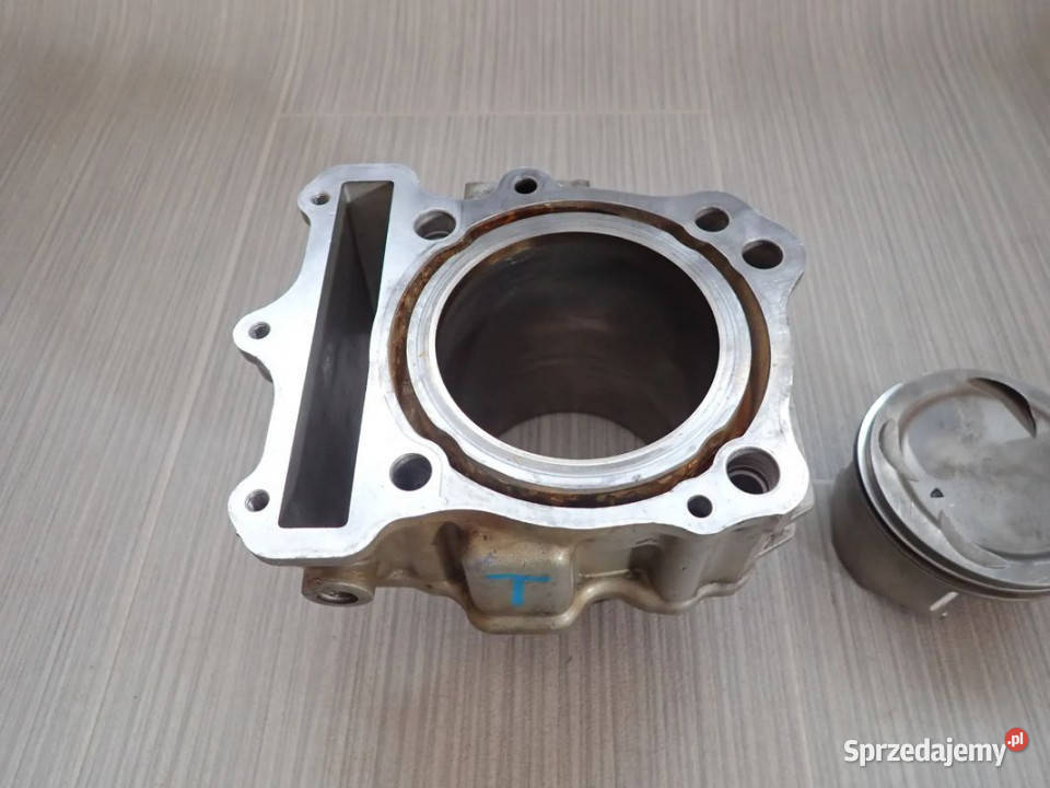 Cylinder Tył Tłoki Pierścienie Sworzeń Hyosung
