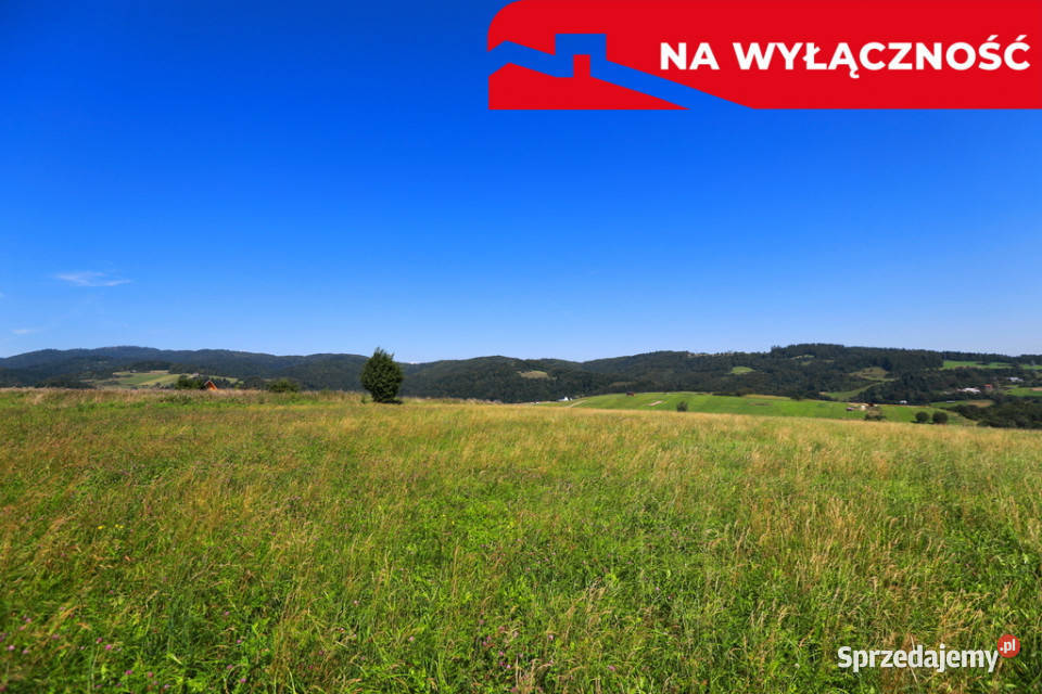 Działa w Grywałdzie z możliwością uzyskania WZ polna Sprzedaż Grywałd