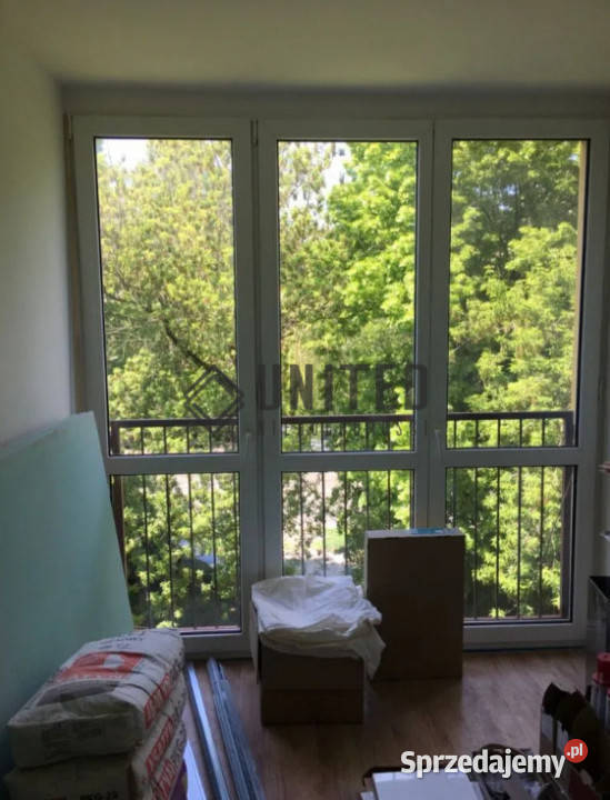 Kruczej
