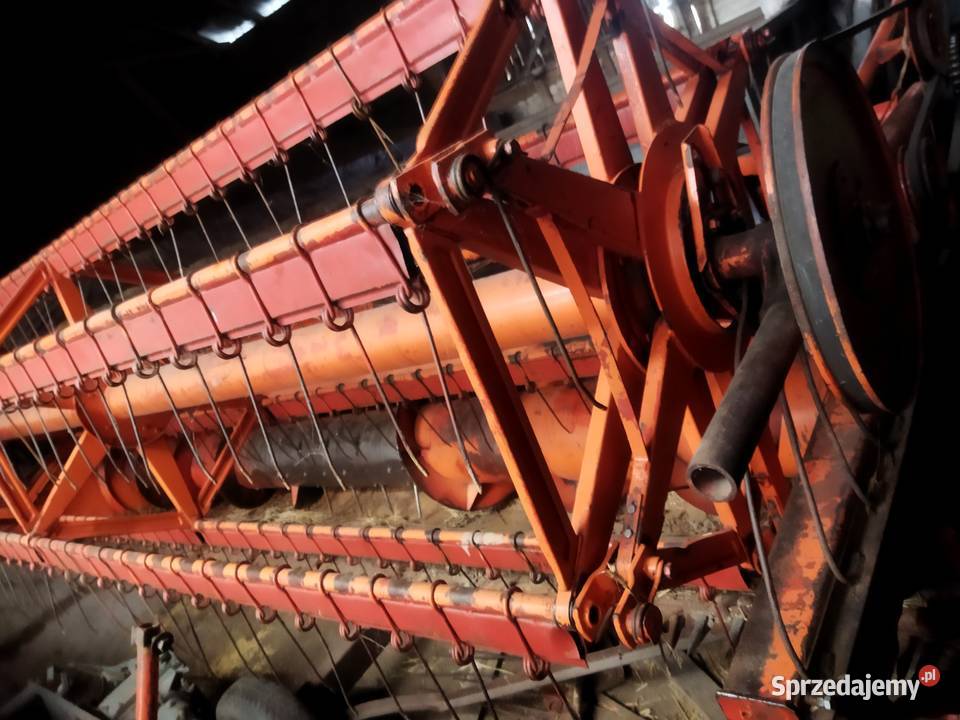 Cheder do Bizona Goszczanów sprzedam