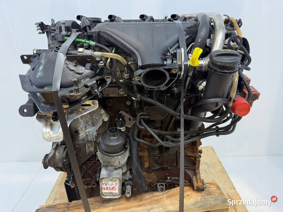 SILNIK QXWB Ford Galaxy II MK2 S S 20 TDCI 140 osobowe Motoryzacja
