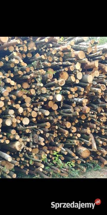 DREWNO OPAŁOWE na sprzedaż mazowieckie Przasnysz