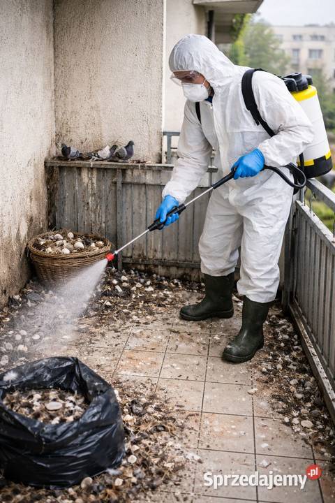 Balkony sprzątanie Wrocław Dezynfekcja balkonów