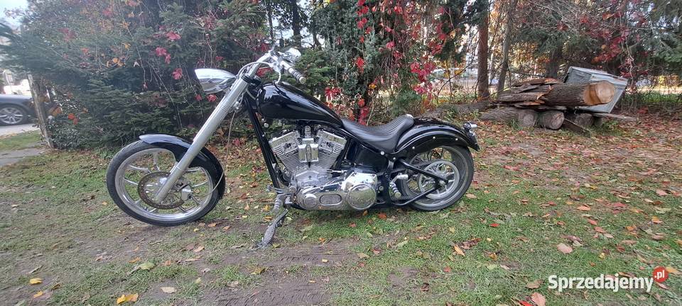 ASPT Softail Custom Big Dog