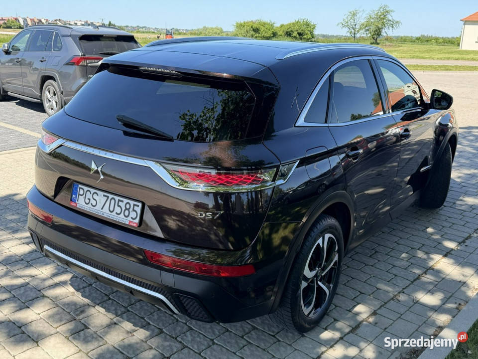 DS Automobiles DS 7 Crossback DS Automobiles DS7 światła LED wielkopolskie Gostyń
