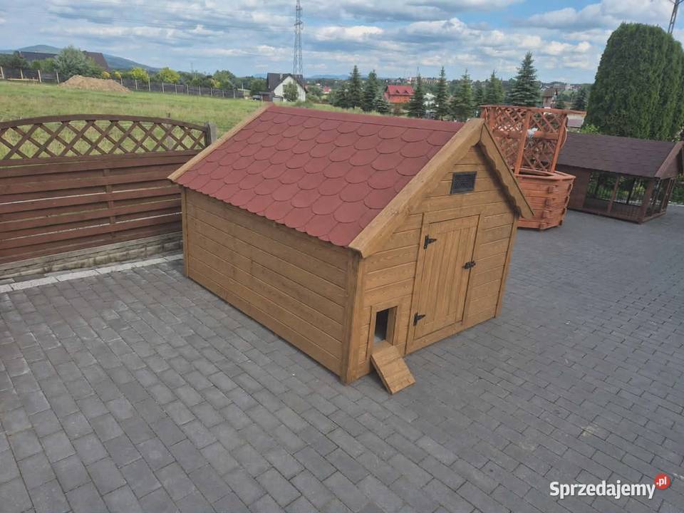 Kacznik biegusów kaczek Dla ptaków Jordanów