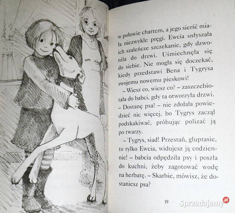 Wróć Alfiku Webb Holly miękka