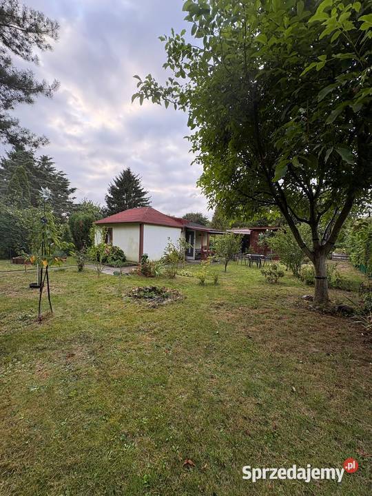 Działka ROD Mokotów Aleja Niepodległości 113115 mazowieckie Warszawa