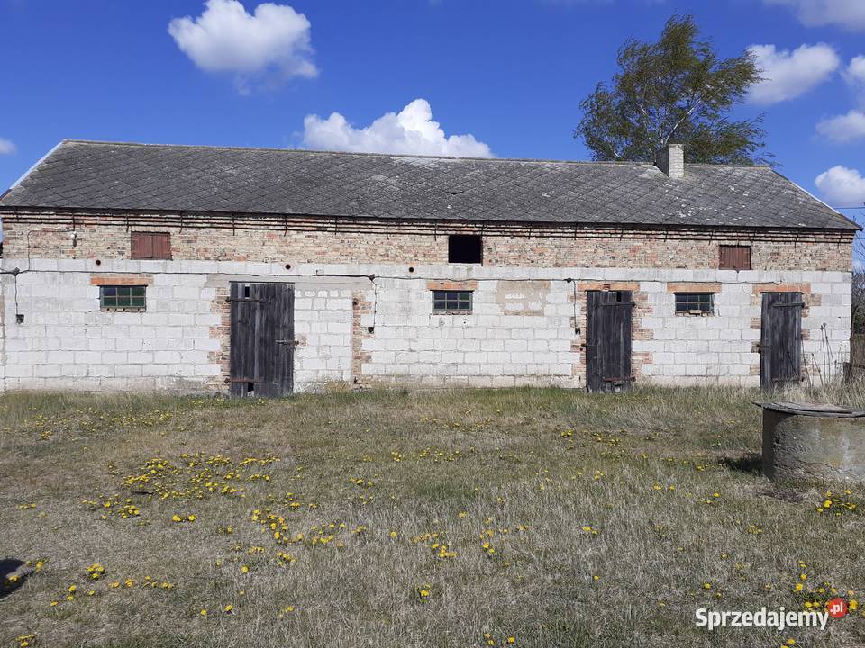 Sprzedam dom kujawsko-pomorskie