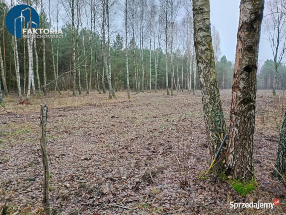 Działka Tarnopol Mostki 960m2 30m Bołtryki
