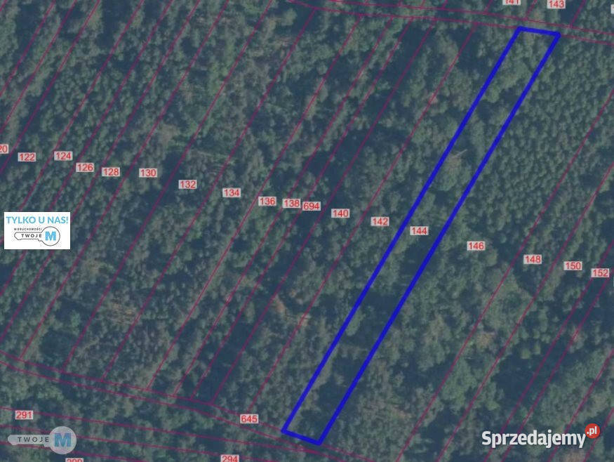 Działka Pierzchnica 7578m2