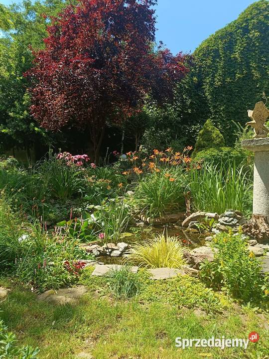 Sprzedam dom wolnostojący Jarosław