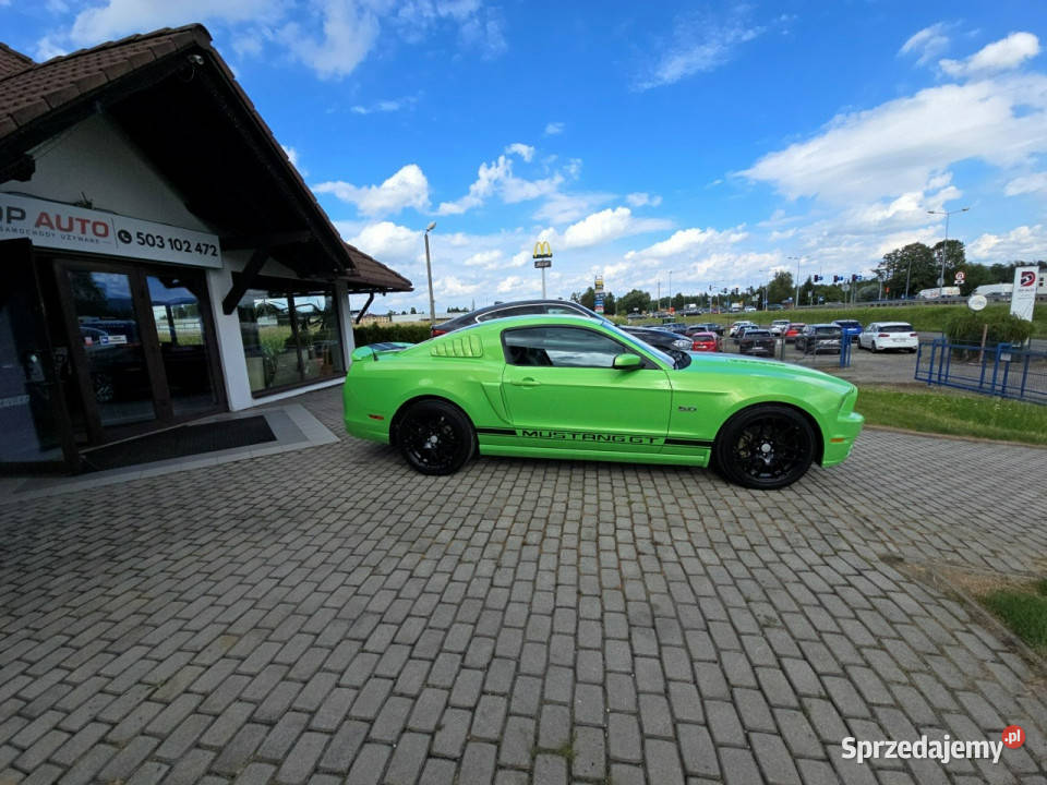 Ford Mustang Ford Mustang GT 50 V8 Coyote Green elektrycznie ustawiane fotele Ustroń