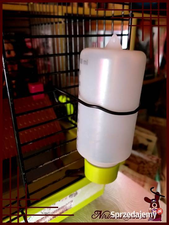 Karo klatka z wyposażeniem myszki 35x24x36 Ruda Śląska