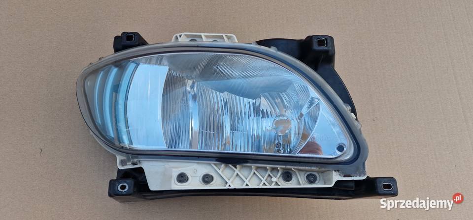DAF XF 106 HALOGEN PRAWY W ZDERZAK ORYGINAŁ Bieleń sprzedam