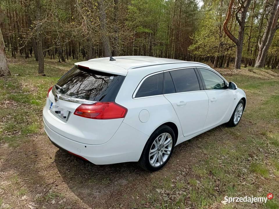 Opel Insignia stan Insignia wielkopolskie Szamotuły