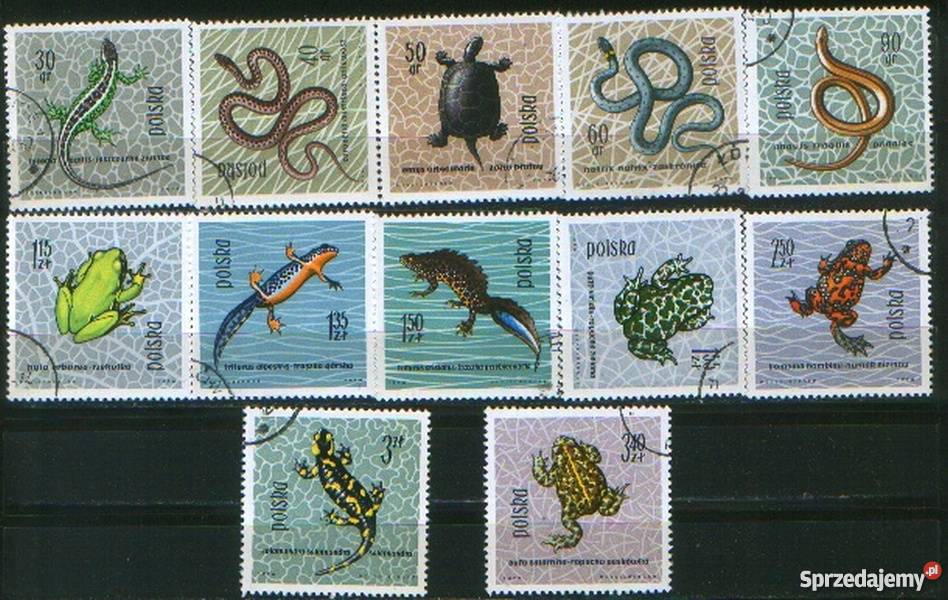 Zn Fi 1245 56 kas 1963 śląskie Gliwice