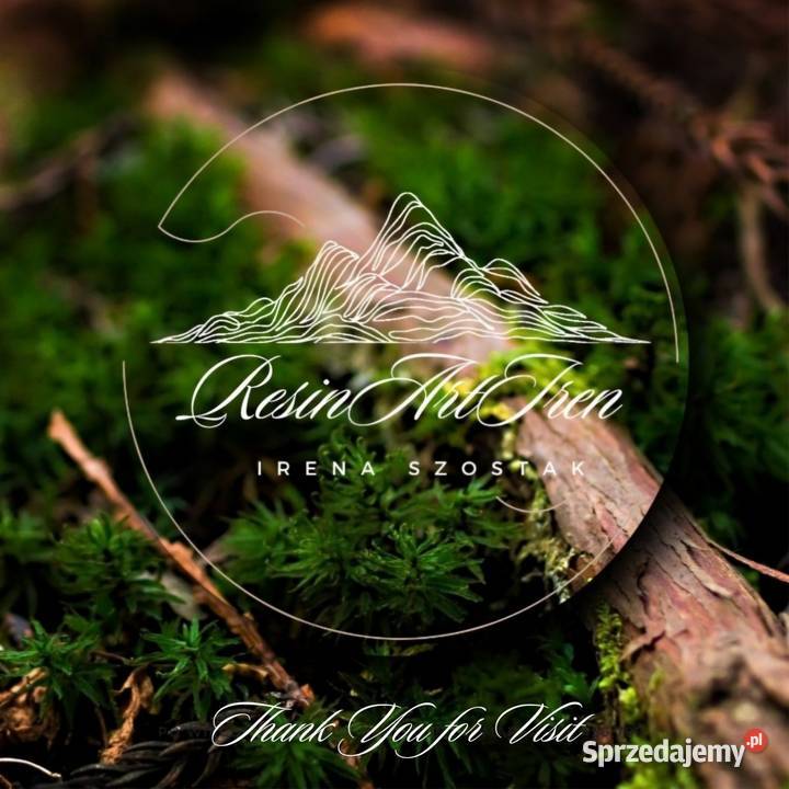 Obraz kanion żywica epoxydowa mech 100x70 na Obrazki i obrazy Warszawa sprzedam