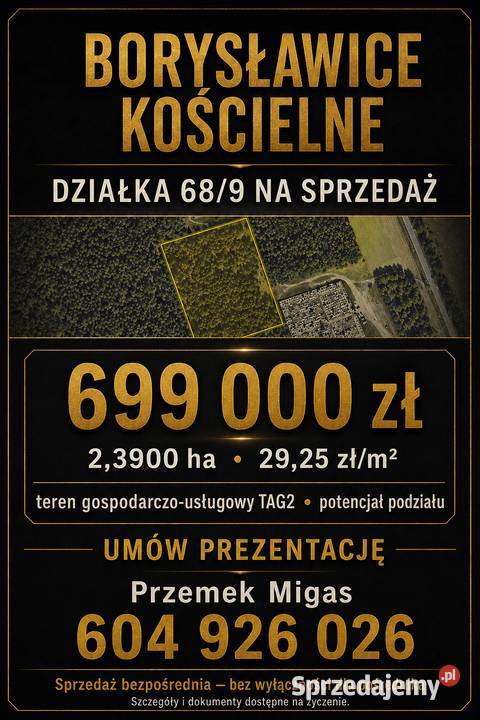 Działka 689 Borysławice Kościelne 239 ha teren wielkopolskie