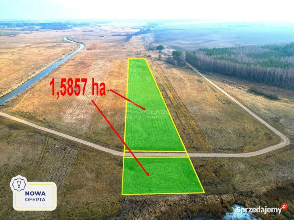 Łąka Horbów Kolonia gm Zalesie pow bialski