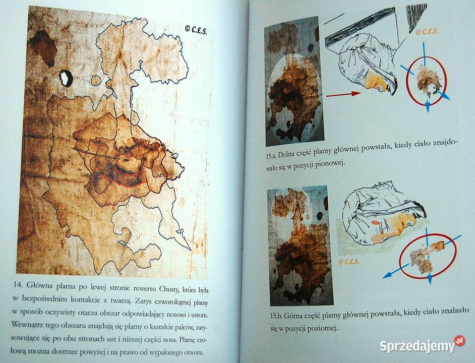 Święta chusta Święta Krew Tajemnica sudarionu z Lublin