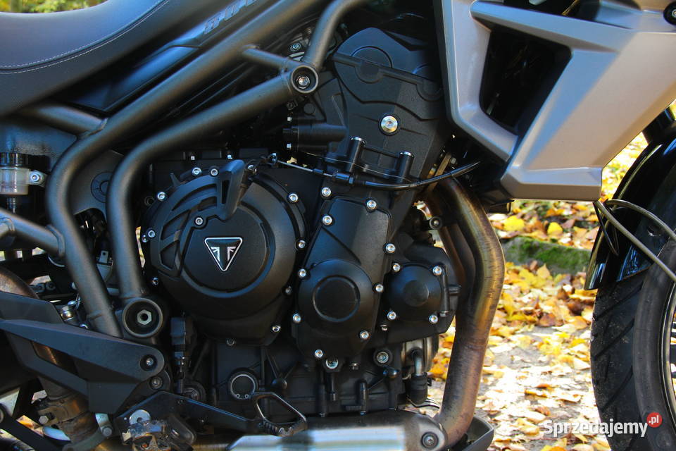 Triumpt Tiger 800XRx turystyczny