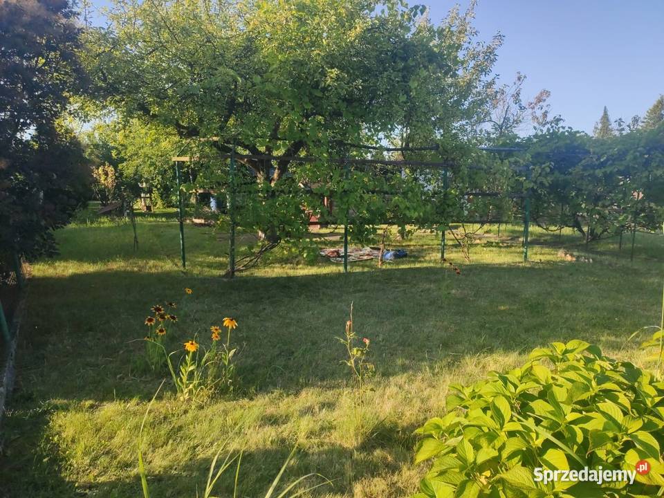 SPRZEDAM DUŻĄ DZIAŁKĘ 420m2 ROD Kolejarz śląskie Lubliniec