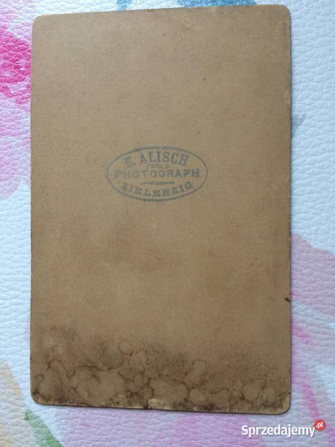 1233 SULĘCIN Niemieckie Zdjęcie Kartonikowe zachodniopomorskie Szczecin