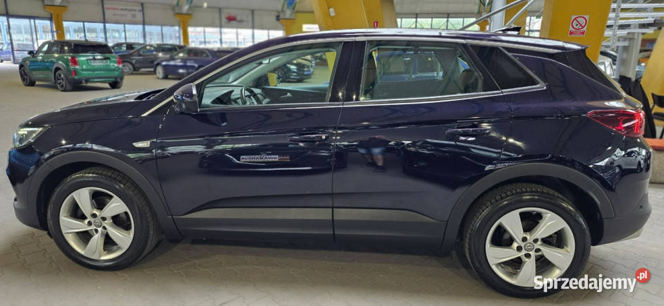 Opel Grandland X 20182019 OPIS W podanej roczna Mysłowice