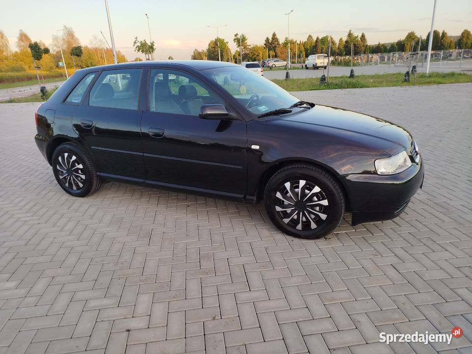 A3 8L 16 Benzyna 2003 5 drzwi Jeden właściciel nieuszkodzony Świdnik