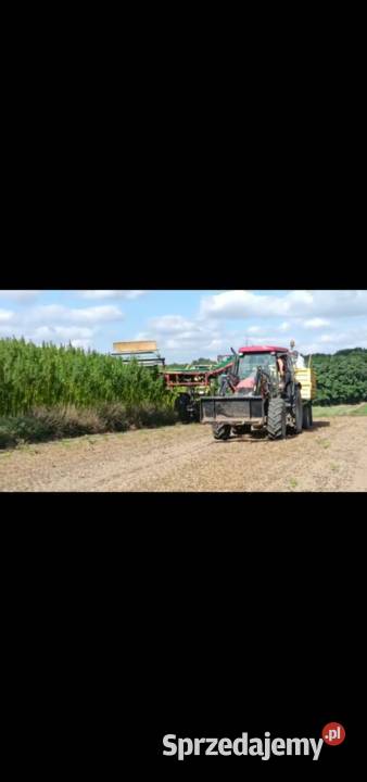 Kosiarka do Konopi Lublin