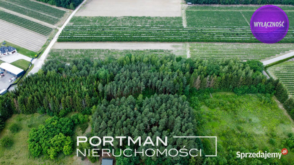 Działka budowlana 1100m2 SPRZEDAŻ MPZP budowlana Sprzedaż Świętochów