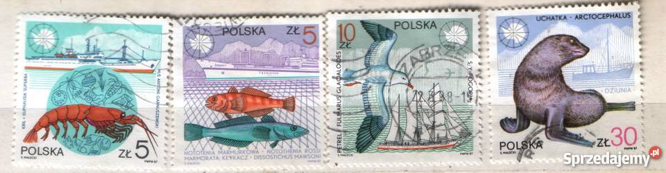 Zn Fi 2928 30 2 kas 1987 Gliwice